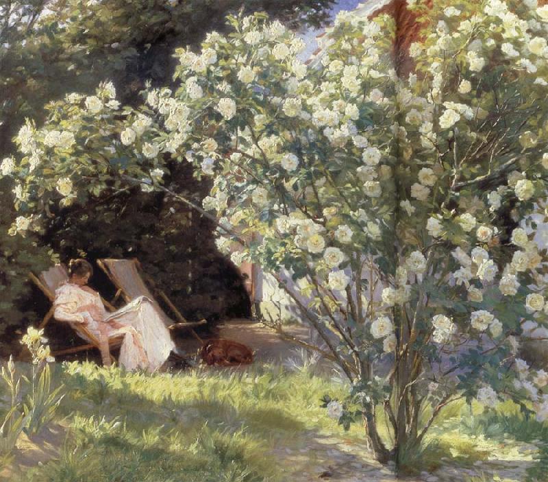 Peder Severin Kroyer Rose Garden oil painting picture
